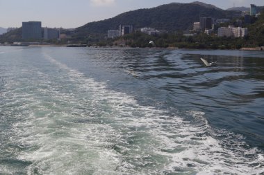 sonra gemi deniz suyu izleme