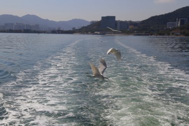 sonra gemi deniz suyu izleme