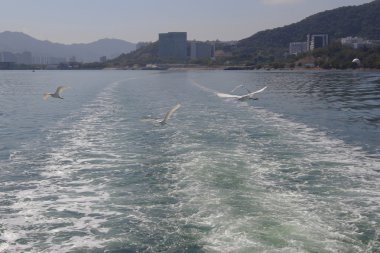 sonra gemi deniz suyu izleme