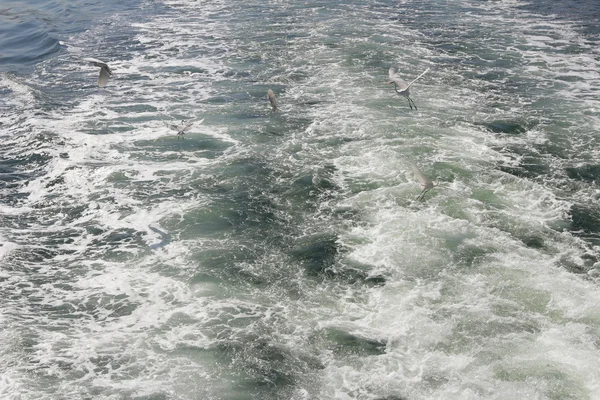 Trace sur l'eau de mer après le navire — Photo