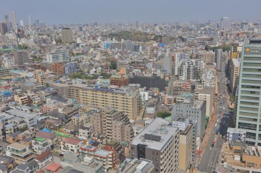 Tokyo şehir manzarası. Bunkyo ward havadan görünümü.