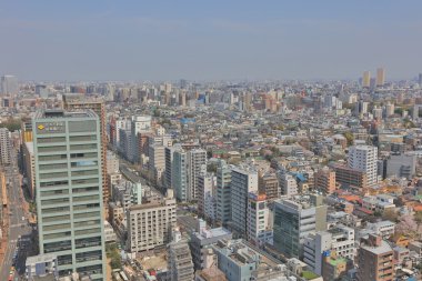 Tokyo şehir manzarası. Bunkyo ward havadan görünümü.