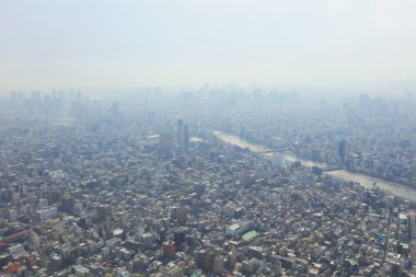 2016, Tokyo Sky ağaçtan Tokyo şehir manzaralı