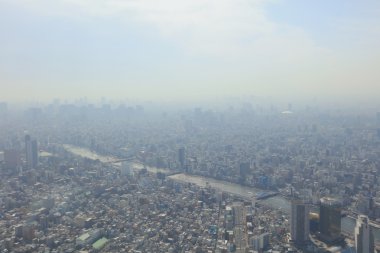 2016, Tokyo Sky ağaçtan Tokyo şehir manzaralı