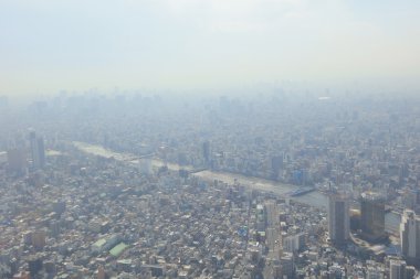 2016, Tokyo Sky ağaçtan Tokyo şehir manzaralı