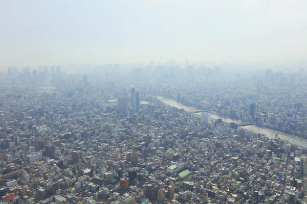 2016, Tokyo Sky ağaçtan Tokyo şehir manzaralı
