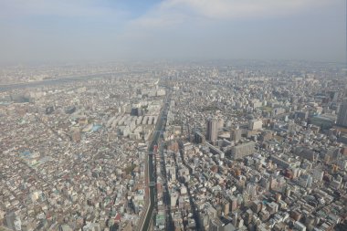 Ağaç gökyüzü Tokyo, Tokyo, Japonya ,