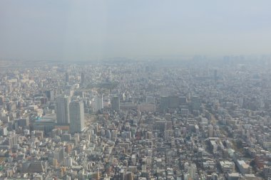 Ağaç gökyüzü Tokyo, Tokyo, Japonya ,