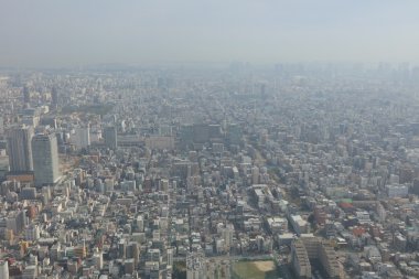 2016, Tokyo Sky ağaçtan Tokyo şehir manzaralı
