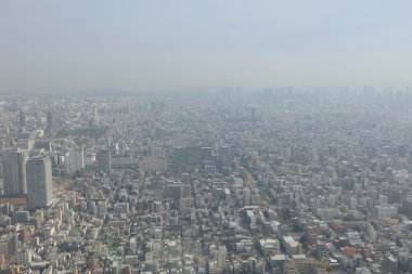 2016, Tokyo Sky ağaçtan Tokyo şehir manzaralı