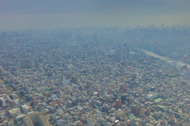 Ağaç gökyüzü Tokyo, Tokyo, Japonya ,