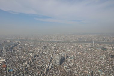 Ağaç gökyüzü Tokyo, Tokyo, Japonya ,