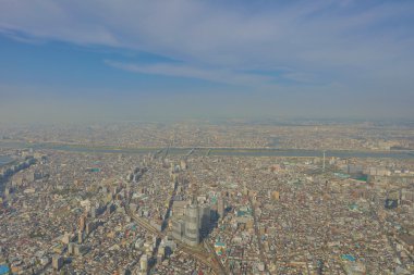 Ağaç Tokyo gökyüzü, Tokyo, Japonya 