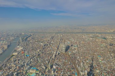 Ağaç Tokyo gökyüzü, Tokyo, Japonya 