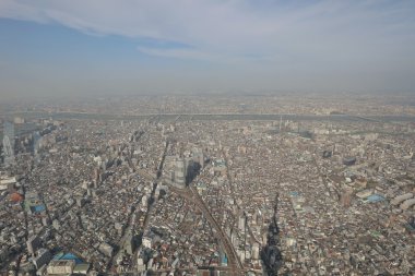 Ağaç gökyüzü Tokyo, Tokyo, Japonya 