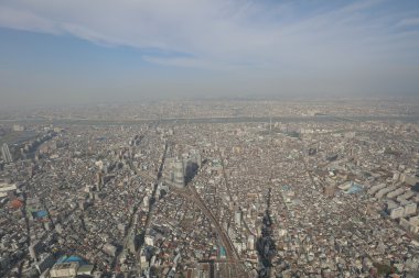 Tokyo gökyüzü ağaç görünümünü büyük dönüm noktası.
