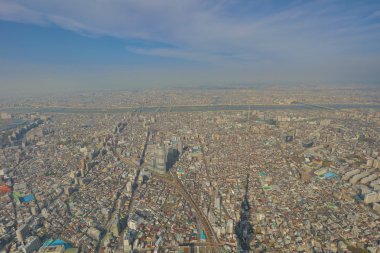 Ağaç Tokyo gökyüzü, Tokyo, Japonya 