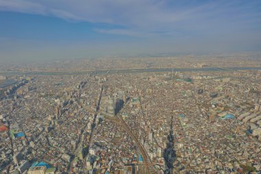 Ağaç gökyüzü Tokyo, Tokyo, Japonya 