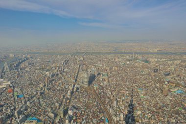 Ağaç gökyüzü Tokyo, Tokyo, Japonya 