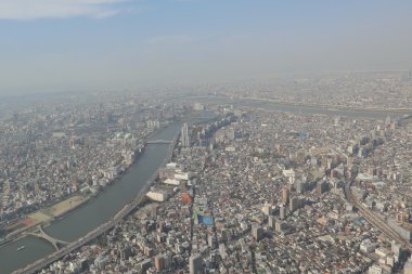 Ağaç gökyüzü Tokyo, Tokyo, Japonya 