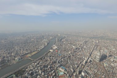 Ağaç gökyüzü Tokyo, Tokyo, Japonya 