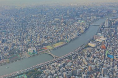 Tokyo gökyüzü ağaç görünümünü büyük dönüm noktası.