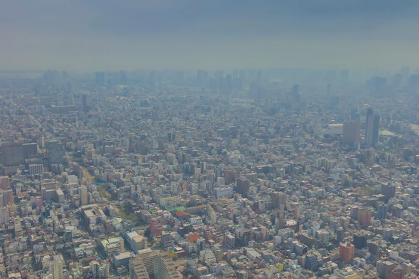 2016, Tokyo Sky ağaçtan Tokyo şehir manzaralı — Stok fotoğraf