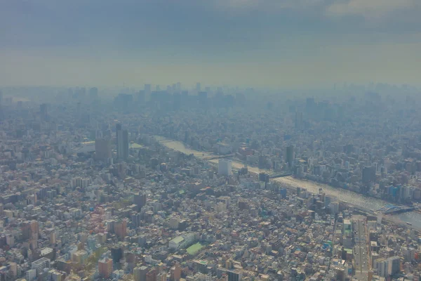 2016, Tokyo Sky ağaçtan Tokyo şehir manzaralı