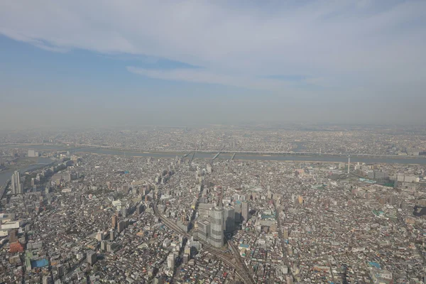 Ağaç gökyüzü Tokyo, Tokyo, Japonya ,