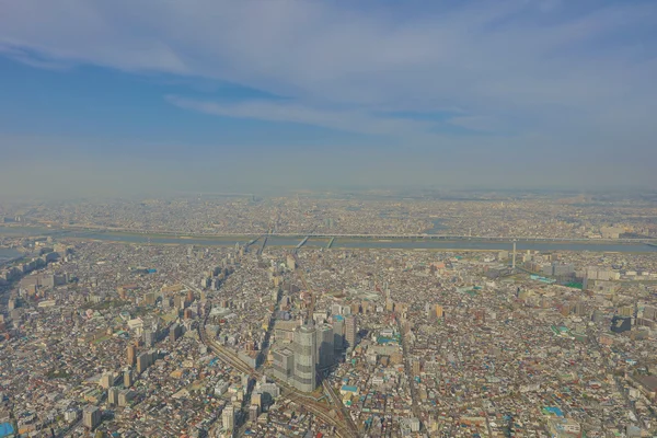 Ağaç Tokyo gökyüzü, Tokyo, Japonya 