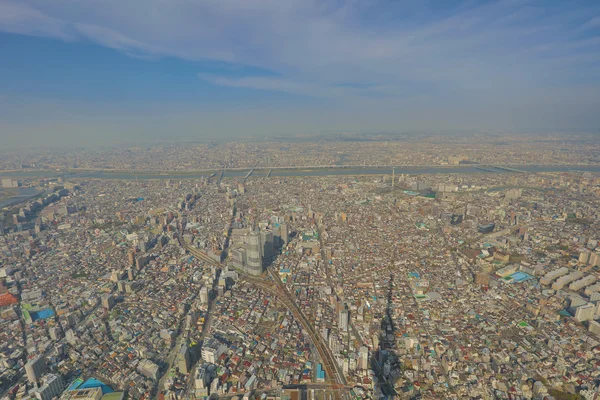 Ağaç Tokyo gökyüzü, Tokyo, Japonya 