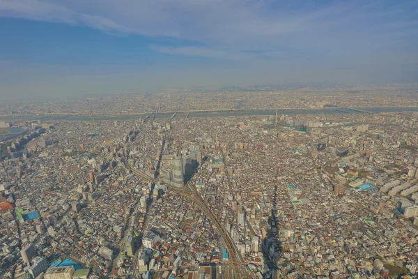 Ağaç gökyüzü Tokyo, Tokyo, Japonya 