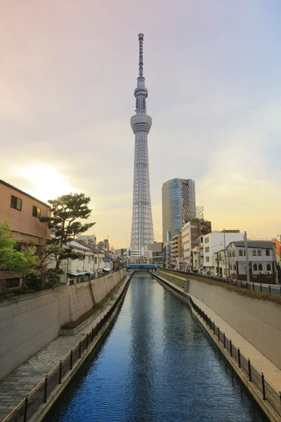 View of Tokyo Sky Tree 634m at day time — Stock Photo, Image
