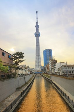 Tokyo Sky ağaç görünümünü gün zaman 634m 