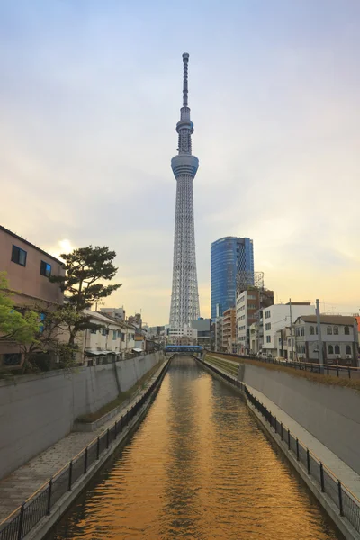 Weergave van Tokyo Sky Tree (634m) op moment van de dag — Stockfoto