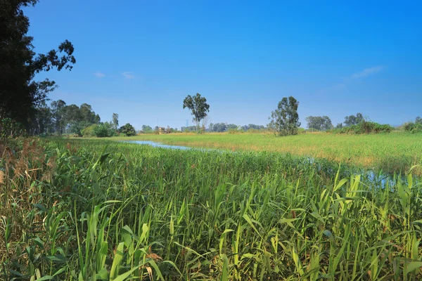 Водно-болотних угідь Nam співали Wai — стокове фото