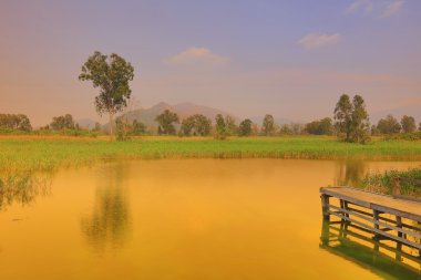 Nam seslendirdi Wai sulak