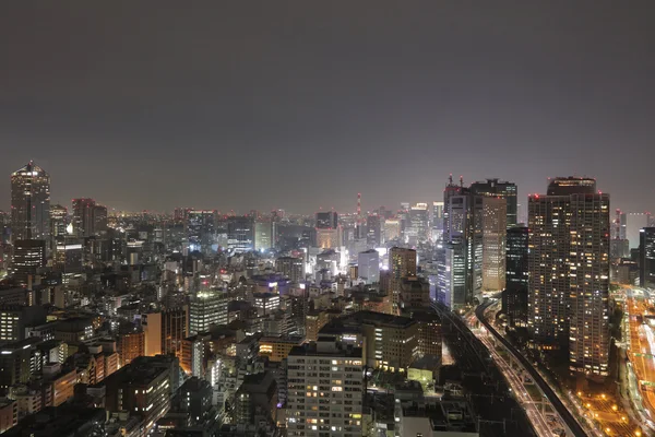 Zuidelijke Tokyo skyline gezien vanaf de World Trade Center — Stockfoto