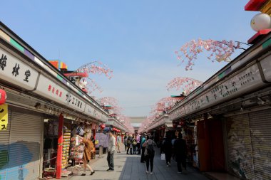 Bir streetkusa Nakamise Dori üzerinde turist yürüme mesafesindedir