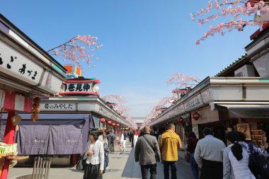 Bir streetkusa Nakamise Dori üzerinde turist yürüme mesafesindedir