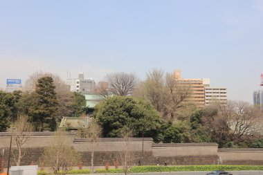 Yushima Seido Tapınağı.