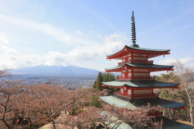  Mt Fuji viewed from behind Chureito Pagoda at 2016 clipart