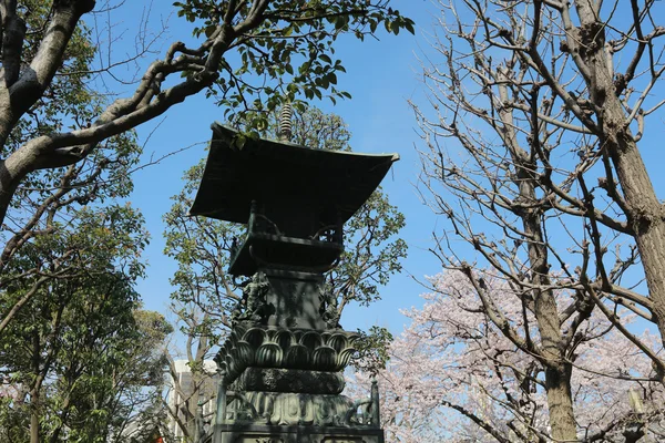 Denpo で浅草の桜の中に — ストック写真