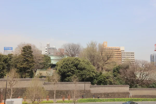 Yushima Seido Tapınağı.