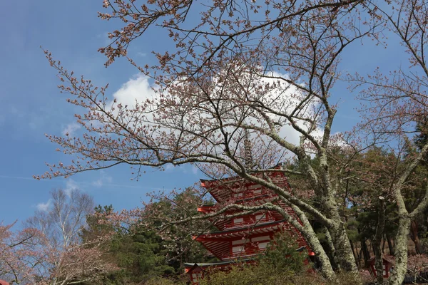 Santuário de Arakura Santuário de Chureito pagode — Fotografia de Stock