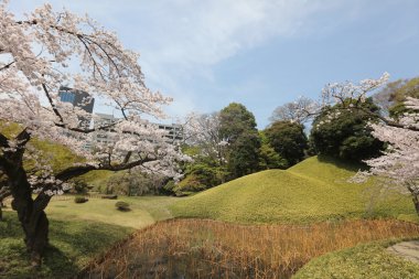 Bahar Korakuen Garden'da Koishikawa