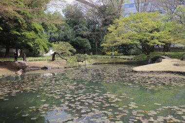 Koishikawa Korakuen Bahçe peyzaj