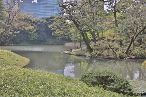 Koishikawa Korakuen Giardino paesaggio — Foto Stock