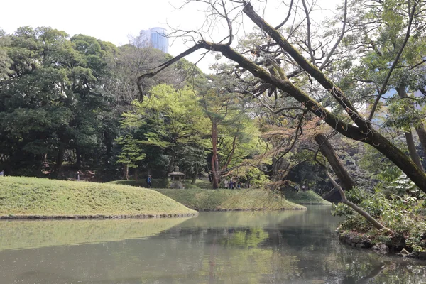 Koishikawa Korakuen Giardino paesaggio — Foto Stock