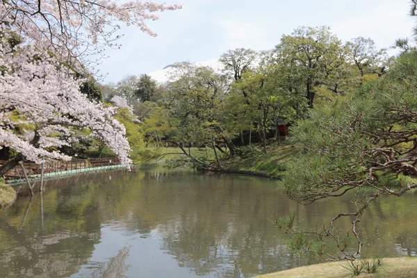 Piękny ogród japoński z jeziorem — Zdjęcie stockowe